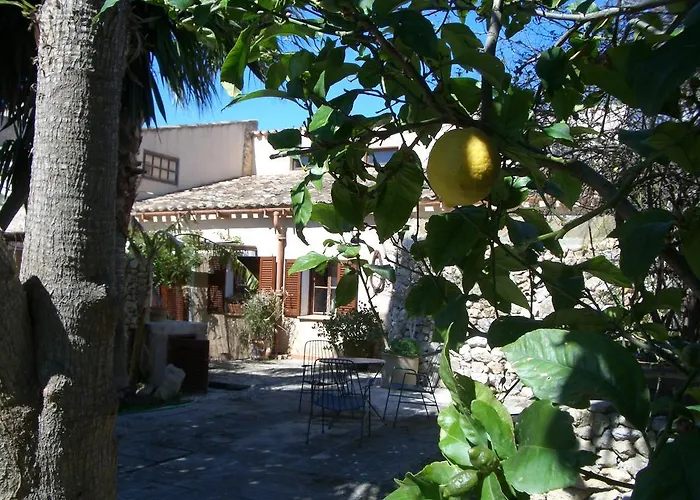 Finca Cal Rei