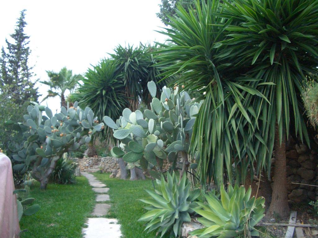 Finca Cal Rei Establiments