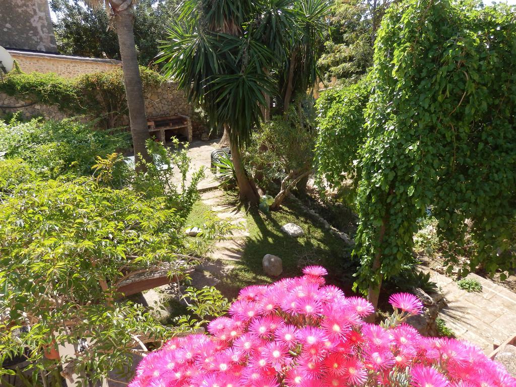 Holiday home Finca Cal Rei *